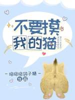 ��Ҫ���ҵ�è