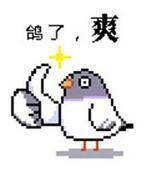 ɽ����ҽ����Ϊ�˸㿪��