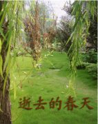 ��ȥ�Ĵ���